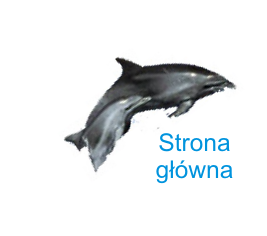 strona gówna