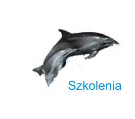 szkolenia